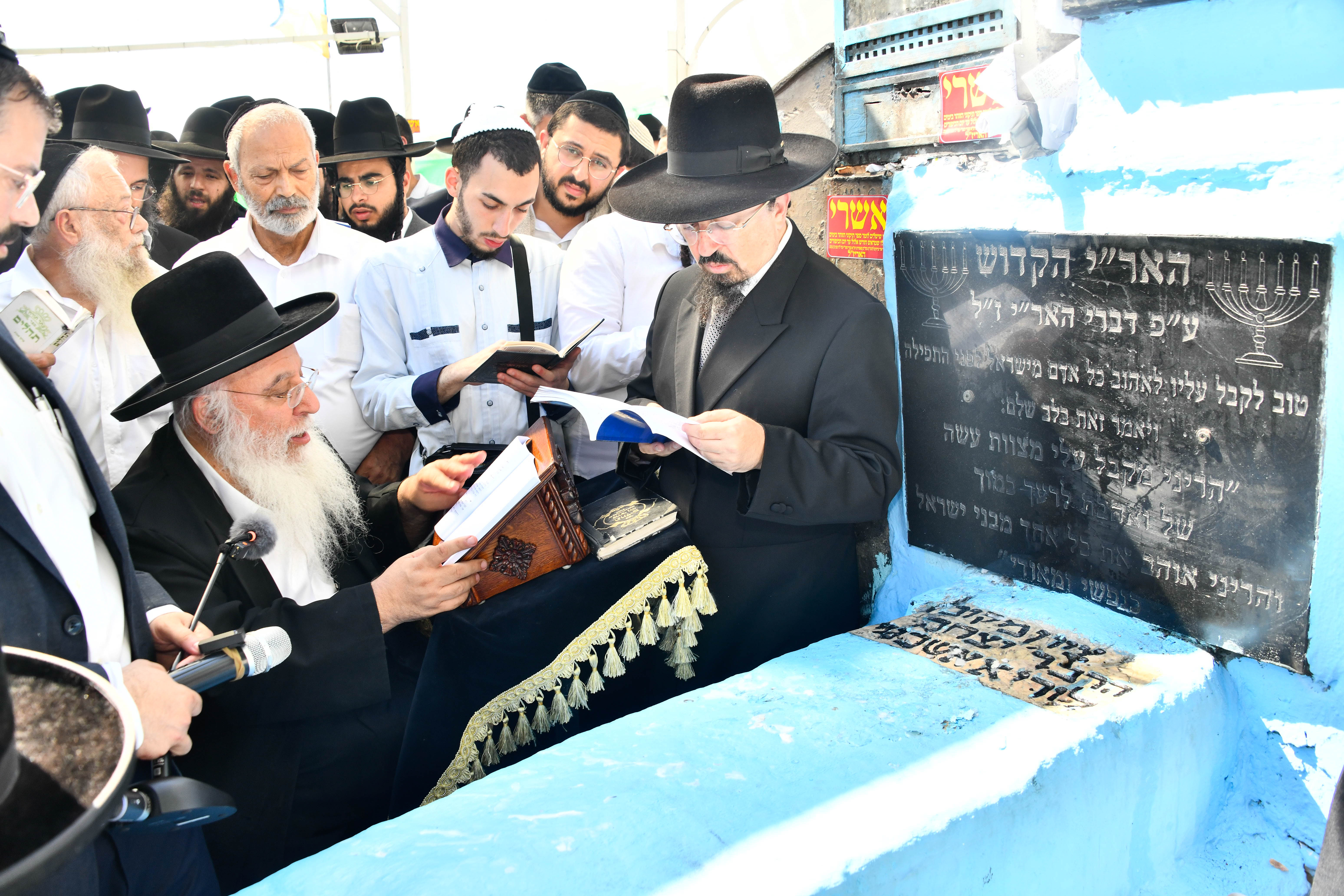 תמונה 11